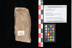 Foto (Objekt + Etikett) von Myrica lignitum Unger (NHMW-GEO-2024-0188-0585)